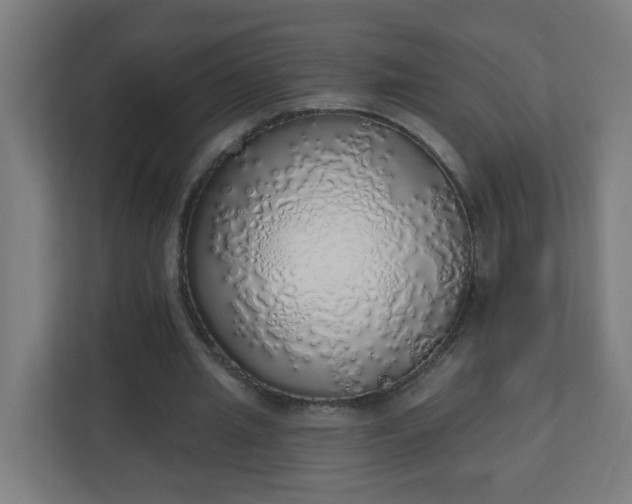 X0000111130437200907071021