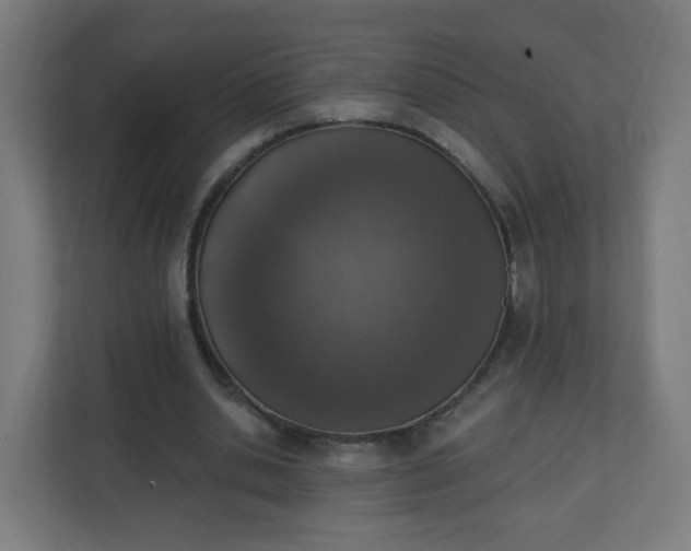 X0000111130438200907071021