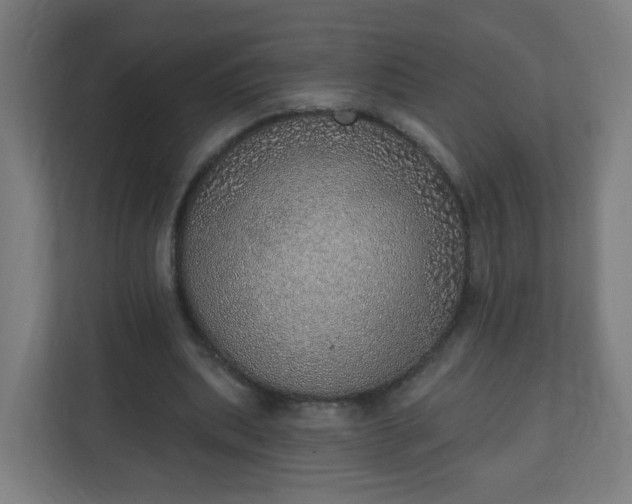 X0000111130439200907071021