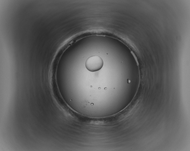 X0000111130440200907071021