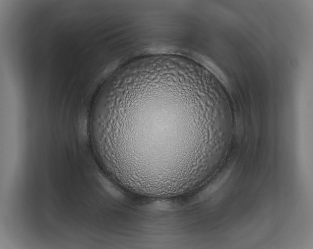 X0000111130441200907071021