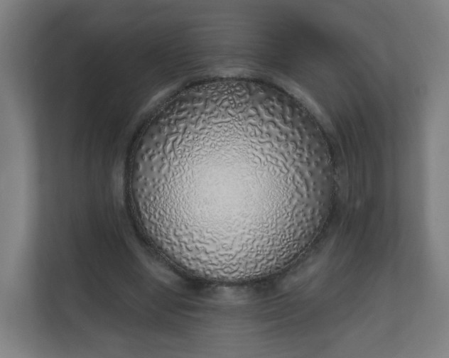 X0000111130442200907071021
