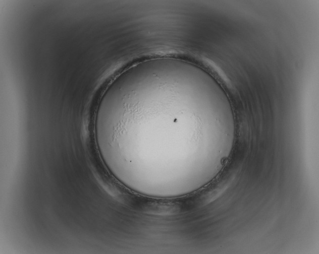 X0000111130443200907071021