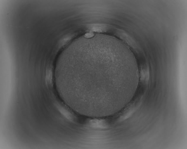 X0000111130444200907071021