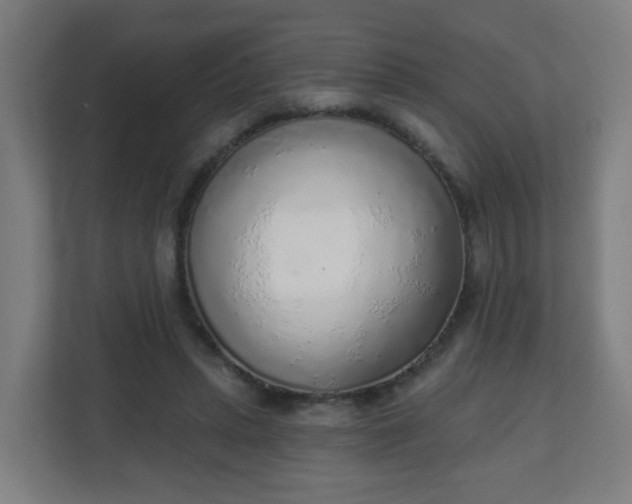X0000111130447200907071021