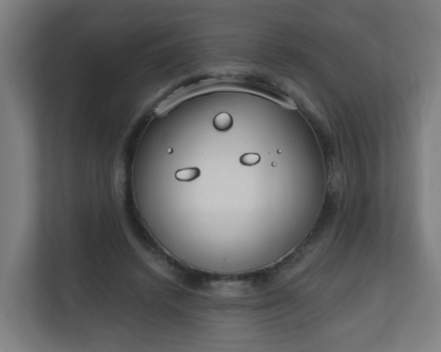 X0000111130448200907071021