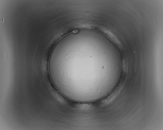 X0000111130449200907071021
