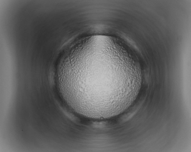 X0000111130450200907071021
