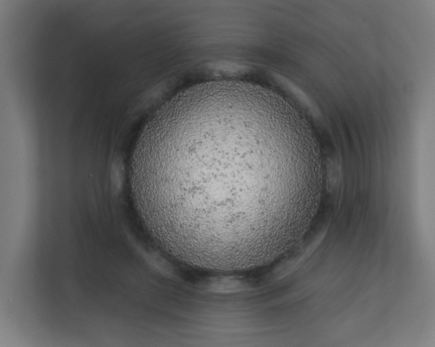 X0000111130451200907071021