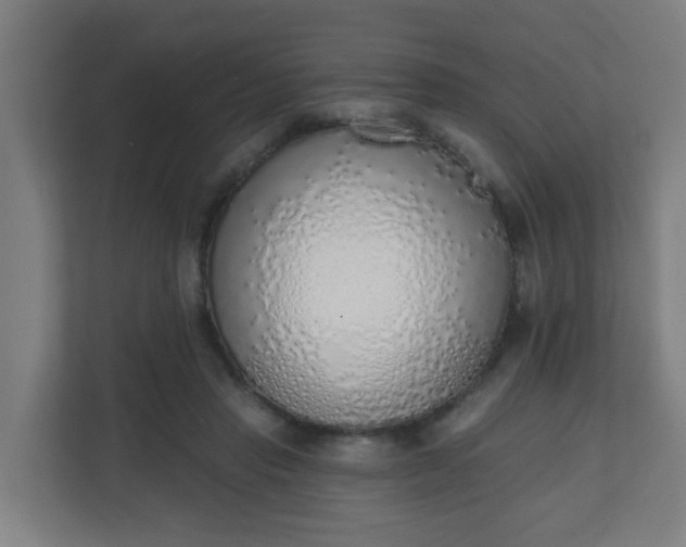 X0000111130453200907071021