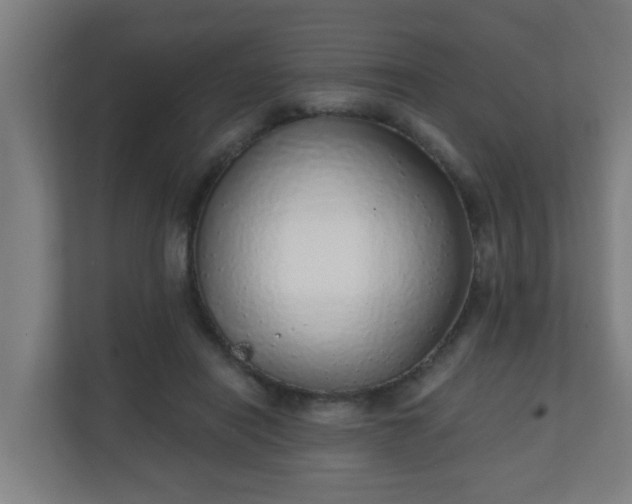 X0000111130454200907071021