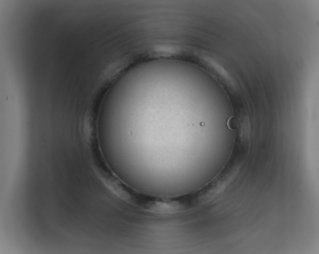 X0000111130455200907071021
