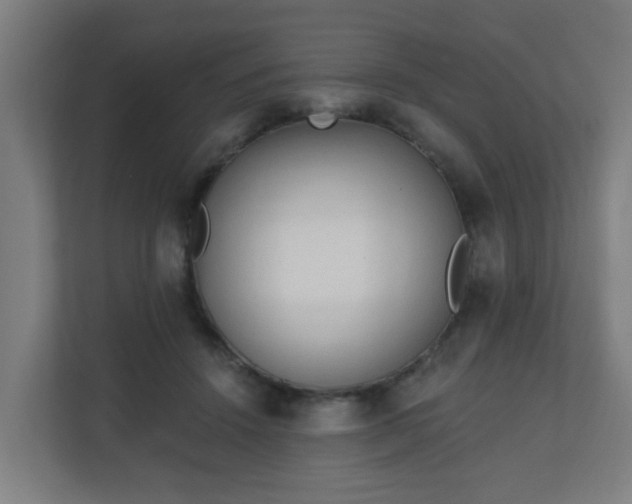 X0000111130456200907071021