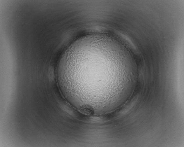 X0000111130457200907071021