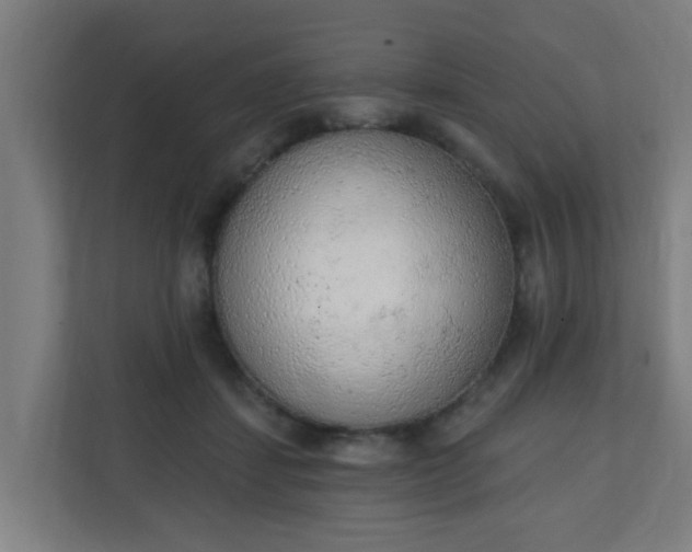 X0000111130459200907071021
