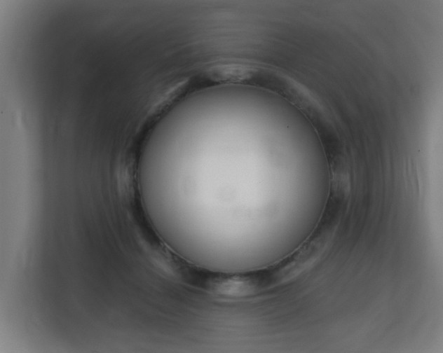 X0000111130460200907071021