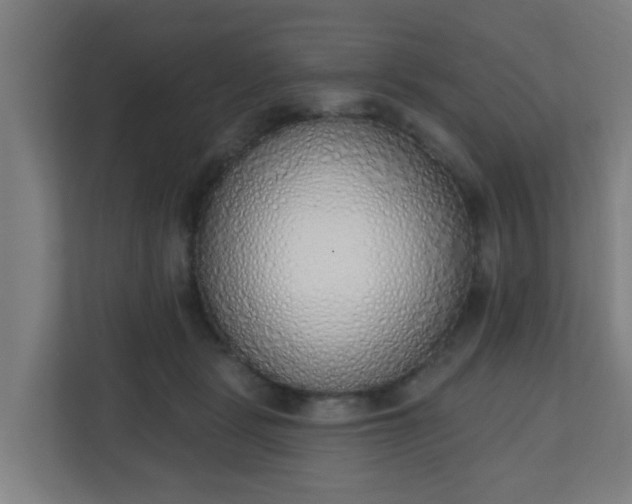 X0000111130461200907071021