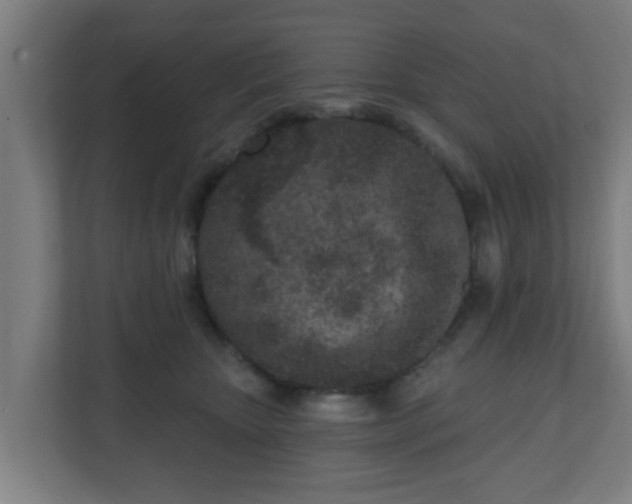 X0000111130467200907071021