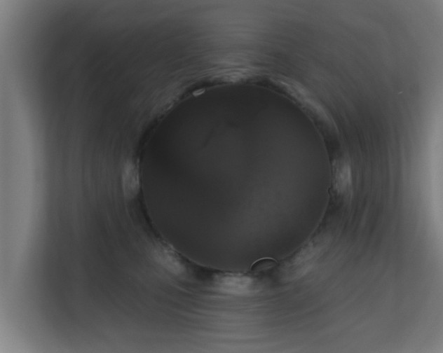 X0000111130471200907071021