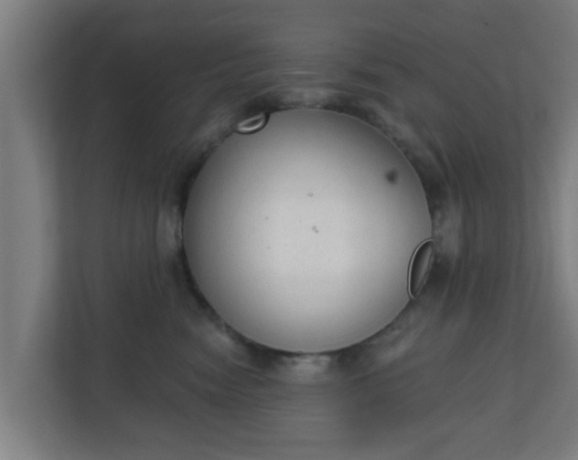 X0000111130474200907071021
