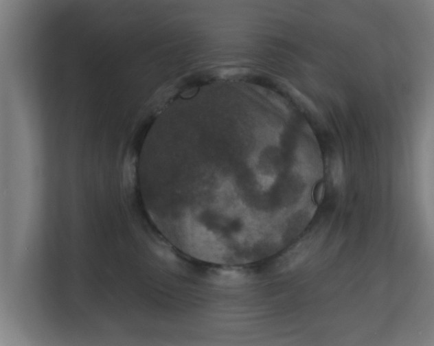 X0000111130475200907071021