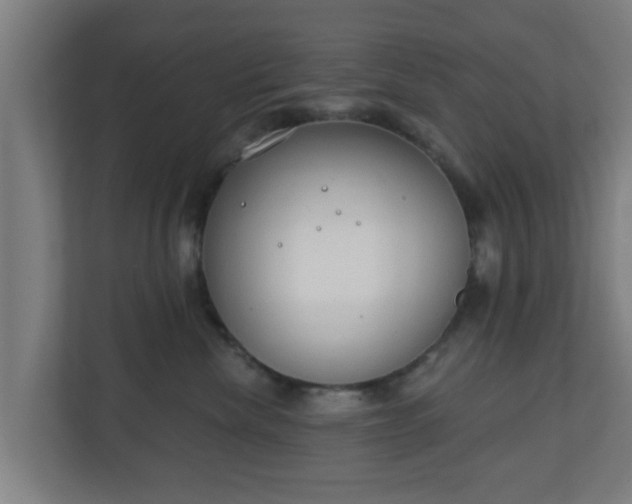 X0000111130476200907071021