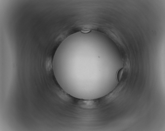 X0000111130478200907071021