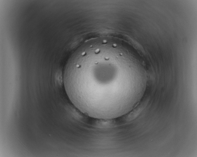 X0000111130479200907071021