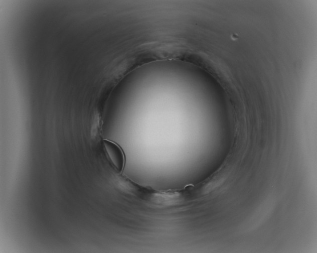 X0000111130480200907071021