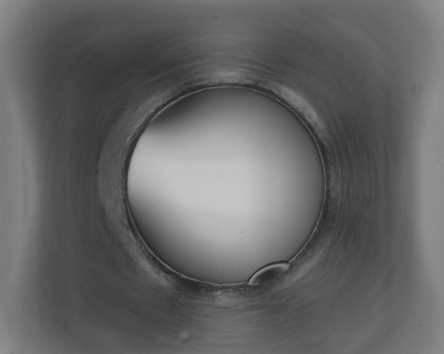 X0000111130481200907071021