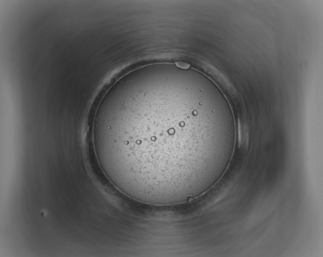 X0000111130483200907071021