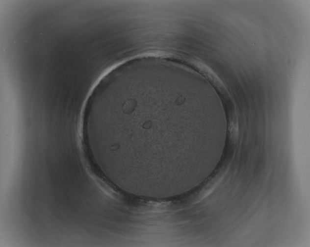 X0000111130484200907071021