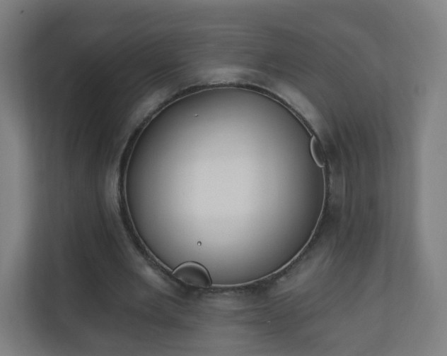 X0000111130485200907071021