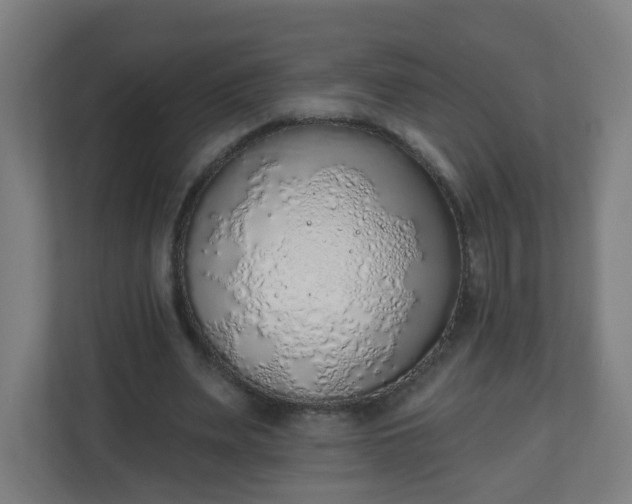 X0000111130487200907071020