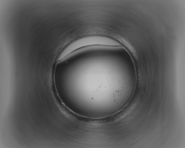 X0000111130489200907071020