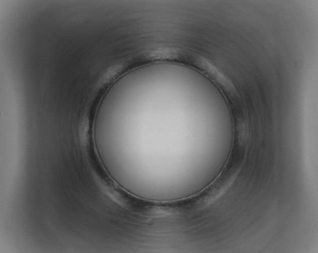 X0000111130490200907071020