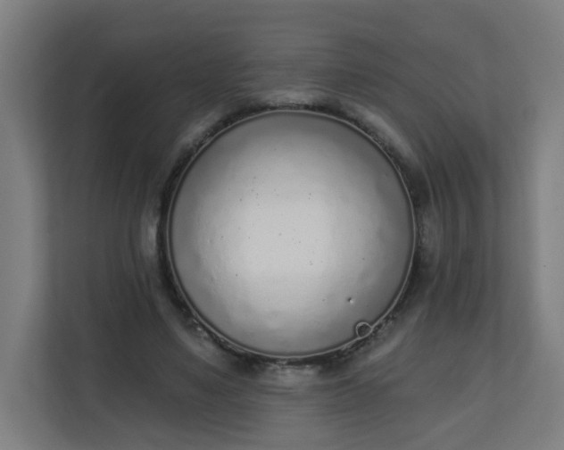 X0000111130491200907071020