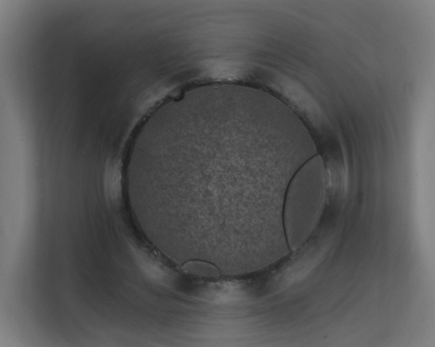 X0000111130492200907071020