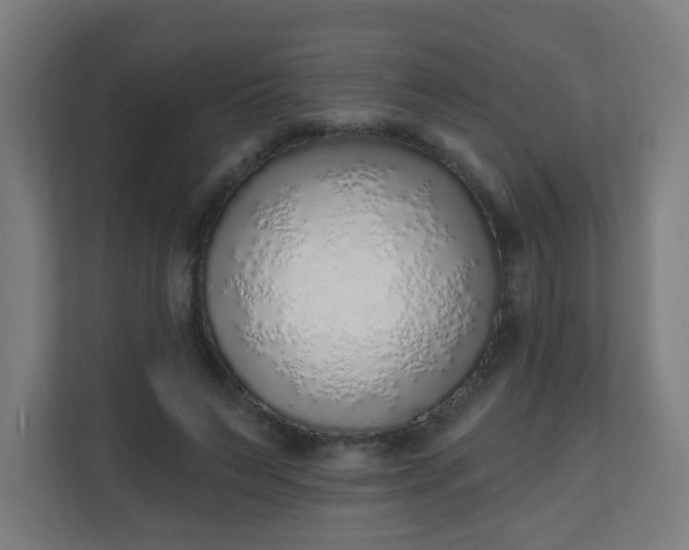 X0000111130495200907071020