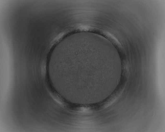 X0000111130496200907071020