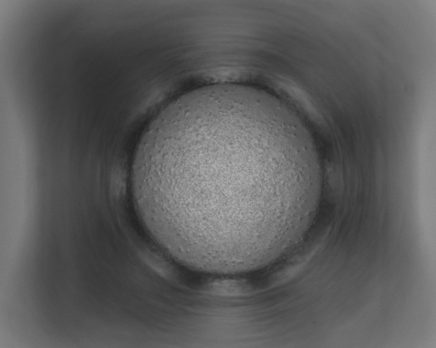 X0000111130499200907071020