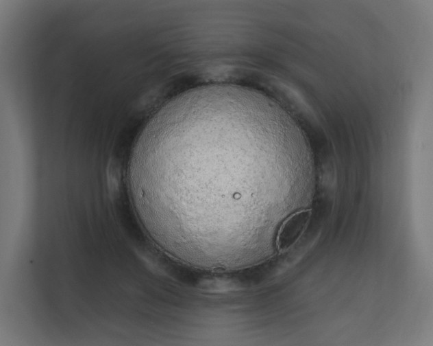X0000111130503200907071020