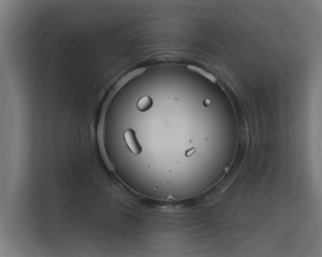 X0000111130508200907071020