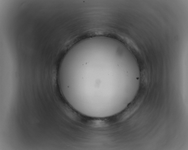 X0000111130509200907071020