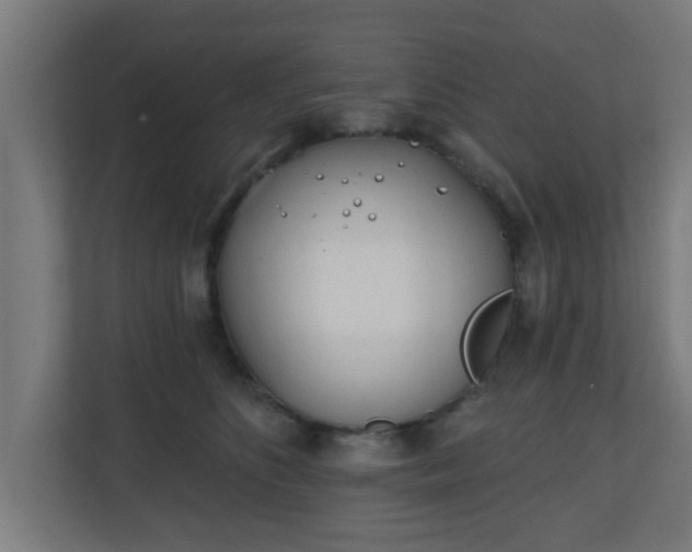 X0000111130516200907071020
