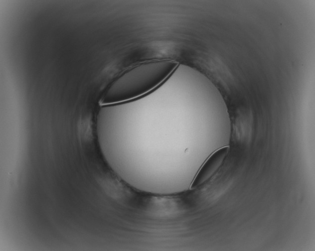 X0000111130520200907071020