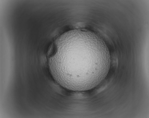 X0000111130523200907071020