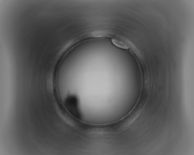 X0000111130530200907071019