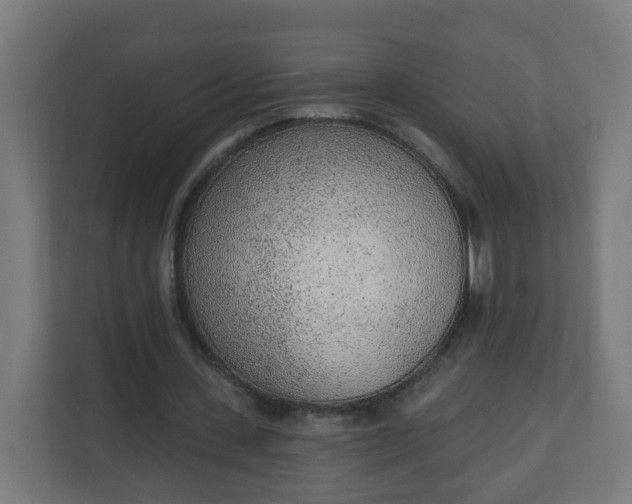 X0000111130531200907071019