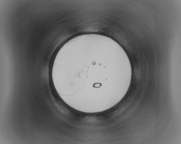 X0000111130534200907071019